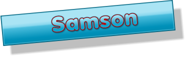 Samson       Samson       Samson